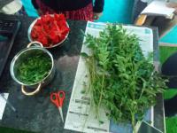 Herbal Oil Ingredients